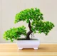 Искусственный бонсай в горшке Green Bonsai Зеленый 26x19 см - изображение 1