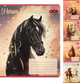 Набор тетрадей ученических ZiBi Horses 24 листа в клетку х 20 шт (ZB25.1770K) - изображение 1