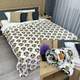 Плед-покрывало Decorator WellSoft RACCOON 200х205 см с принтом "Еноты" (87-193) - изображение 1