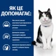 Сухой корм Hill's PD Feline I/D для кошек для лечения заболеваний ЖКТ 3 кг (605877) - изображение 3