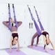 Подвесной регулируемый гамак для йоги и фитнеса Air Yoga Rope, гамак-резинка с ремнями для аэройоги YGR-12-Purple/Black - изображение 4