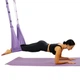 Подвесной регулируемый гамак для йоги и фитнеса Air Yoga Rope, гамак-резинка с ремнями для аэройоги YGR-12-Purple/Black - изображение 5