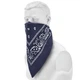 Бандана бавовняна Sturm Mil-Tec Western Bandana Navy (12620003) - зображення 1