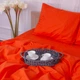 Простынь MirSon Бязь 16-1364 Palermo 110х160 (2200007076420) - изображение 3