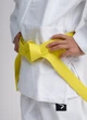 Кiмоно для хлопчиків IPPON GEAR NXT 120 - изображение 7
