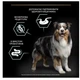 Сухой беззерновой корм Purina Pro Plan Medium & Large Adult для взрослых собак средних и крупных пород с чувствительным пищеварением, с индейкой, 12 кг - изображение 3