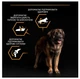 Сухий корм для дорослих собак великих порід Purina Pro Plan Large Robust Adult з куркою, 14 кг + 2.5 кг - зображення 6
