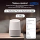 Розумний Wi-Fi реле TOMZN TOB9-63T, таймер Tuya или SmartLife (2505012451) - зображення 4