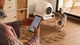 Самоочисний лоток для котів Cecotec Pumba 8000 CleanKitty Smart (8435484095679) - зображення 4