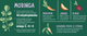 Sucha karma dla psów Comfy Appetit Vita Superfood Adult All Breeds Buffalo 12 kg (5905546342209) - obraz 7