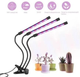Світлодіодна LED фітолампа Grow Light для вирощування рослин розсади Повний спектр 3 голови USB 30 Вт - зображення 6