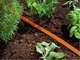 Шланг спринклерний 3-х канальний Bradas Spritz Hose 7.5 м (WSH7,5) - зображення 3