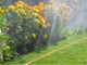 Шланг спринклерний 3-х канальний Bradas Spritz Hose 7.5 м (WSH7,5) - зображення 4