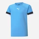 Підліткова футболка для хлопчика Puma Teamrise Jersey Jr 70493818 158-164 см Блакитна (4063699210774) - зображення 1