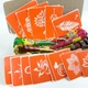 Набір кольорової хни з трафаретами для біо-тату №4 від Fresh Tattoo (color-henna-set-04) - зображення 3