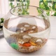 Ваза-аквариум Pasabahce Шар Botanica h-16 см 45068 - изображение 2