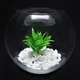 Ваза-аквариум Pasabahce Шар Botanica h-16 см 45068 - изображение 7