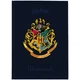 Дневник школьный твердая обложка Harry Potter НР25-262-2 KITE - изображение 1