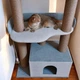 Кошачий комплекс когтеточка с большим домиком, большие лежанки для крупных котов и кошек 115х70х40см серо белый - изображение 4