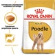 Полнорационный сбалансированный корм Royal Canin для взрослых собак породы пудель Poodle Adult 0.5 кг (3182550716826) (R448522) - изображение 2