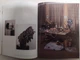 100 Contemporary Artists (комплект із 2 книг). Taschen. Подарункове видання. - зображення 9