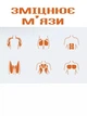 Ролик для пресса Power P438 с возвратным откатом, 2х точечная локтевая поддержка, два держателя смартфона - изображение 5