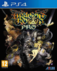 Gra PS4 Dragons Crown Pro (Blu-ray płyta) (5055277031009) - obraz 1