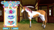Gra PS4 Bibi & Tina at the Horse Farm (Blu-ray płyta) (5055377603700) - obraz 5