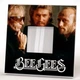 Декоративное зеркало "Группа Bee Gees. Би Джиз" подарок для фанатов поп музыки, диско, украшение в спальню, бар, клуб, студию - изображение 2