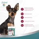 Витамины 8in1 Excel Multi Vitamin Small Breed для собак мелких пород, мультивитамин 70 шт. (4048422183990) - изображение 10