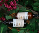 Szampon do włosów Esthetic House CP-1 Ginger oczyszczający 500 ml (8809450012005) - obraz 4