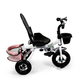 Rowerek trójkołowy EcoToys Delux 360° JM-068-17 Różowy (5903089068464) - obraz 9