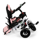 Rowerek trójkołowy EcoToys Delux 360° JM-068-17 Różowy (5903089068464) - obraz 10