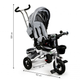 Триколісний велосипед EcoToys Delux 360° JM-068-17 Сірий (5903089063324) - зображення 13