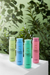 Шампунь для волосся Masil 5 Probiotics Color Radiance 300 мл (8809744060392) - зображення 5