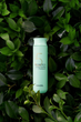 Szampon do włosów Masil 5 Probiotics Scalp Scaling 300 ml (8809744060408) - obraz 4