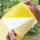 Двухсторонняя липкая клеевая ловушка от белокрылки и тли 10 шт - изображение 3