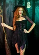 Костюм ведьмы Leg Avenue Mystical Witch XL платье и шляпа SO9335 Фиолетовый - изображение 5