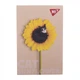 Блокнот YES А7 48 аркушів клітинка Catstyle Sunflower (152099) - изображение 1