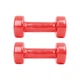 Вінілові гантелі inSPORTline Smoothbell 2 x 1,5 kg - зображення 2