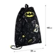 Сумка для обуви Kite DC Batman DC25-600M - изображение 2