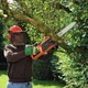 Пила цепная электрическая BLACK+DECKER CS1840 - изображение 2