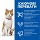 Сухой корм Hill's SP Feline Adult Sterilised Cat With Salmon для взрослых стерилизованных кошек, с лососем 1,5 кг (608879) - изображение 2