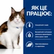 Лечебный сухой корм Hill's PD Feline W/D при сахарном диабете и ожирении у взрослых кошек 3 кг (605849) - изображение 3