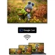 Телевизор Thomson Google TV 43" UHD 43QG7C14 - изображение 12
