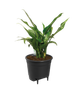Вставка з автополивом Elho self-watering insert 28 см - изображение 2