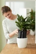 Вставка з автополивом Elho self-watering insert 28 см - изображение 7