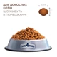 Сухой корм для котов Club 4 Paws Indoor 4в1 14 кг B4630201 - изображение 2