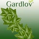 Декоративна рослина штучний плющ Gardlov 6.3 метра Зелень для інтер’єру - зображення 2