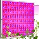Лампа світлодіодна панельна Gardlov 225 LED 31х31х35 см для вирощування рослин - зображення 1